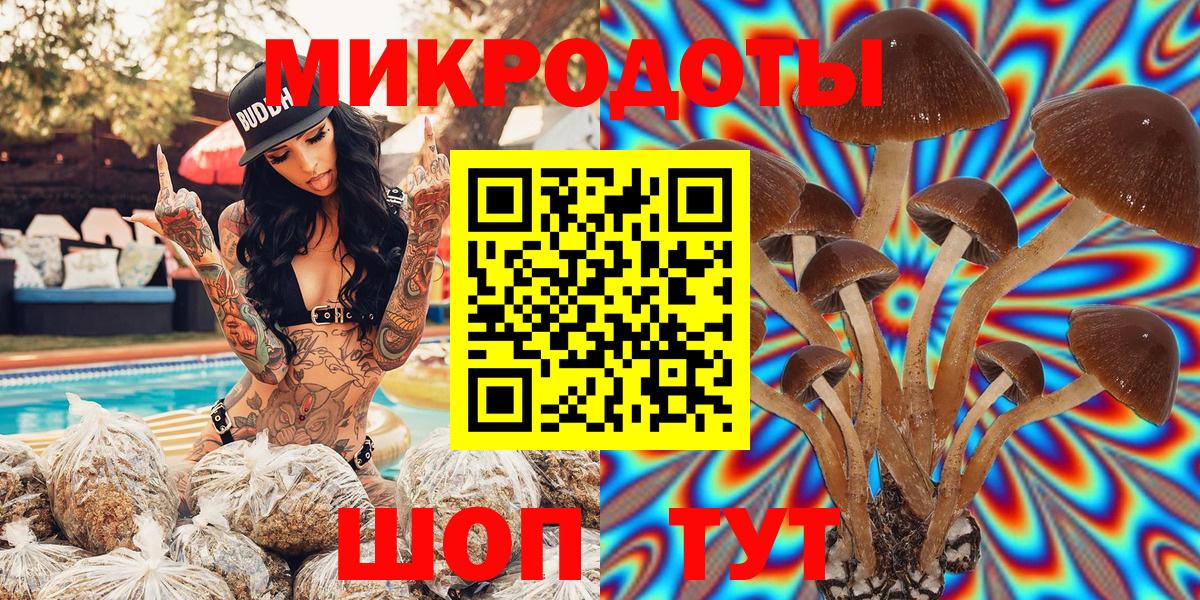 Калач-на-Дону  Псилоцибиновые грибы GOLDEN TEACHER  Псилоцибиновые грибы GOLDEN TEACHER  Вход с VPN 